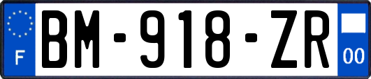 BM-918-ZR