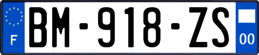 BM-918-ZS