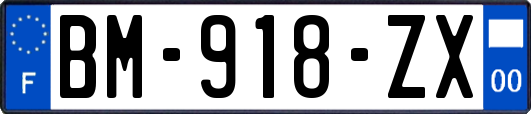 BM-918-ZX