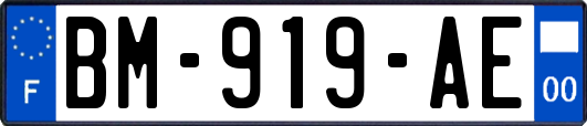 BM-919-AE