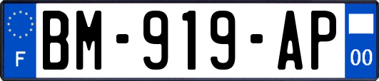 BM-919-AP