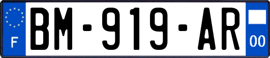 BM-919-AR