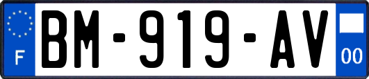 BM-919-AV