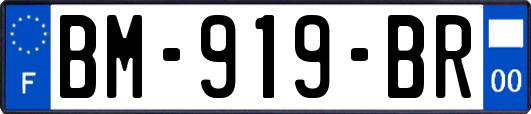 BM-919-BR