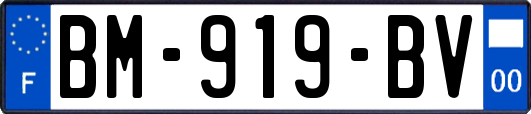 BM-919-BV