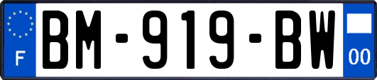 BM-919-BW