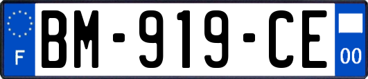 BM-919-CE