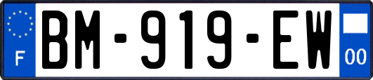 BM-919-EW