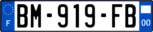 BM-919-FB