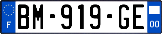 BM-919-GE