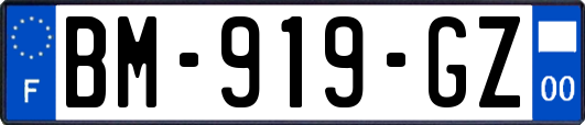 BM-919-GZ