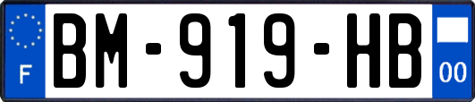 BM-919-HB