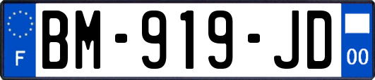 BM-919-JD