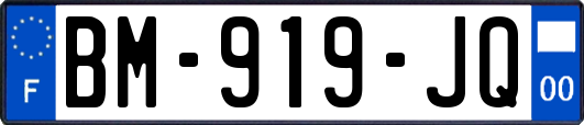 BM-919-JQ