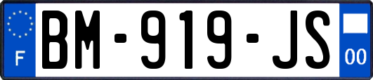 BM-919-JS