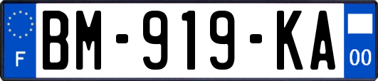 BM-919-KA