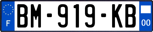 BM-919-KB