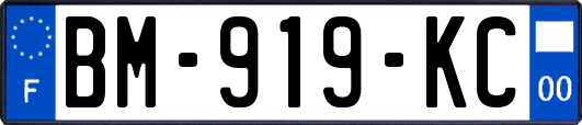 BM-919-KC