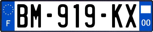 BM-919-KX