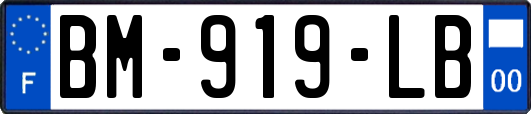 BM-919-LB