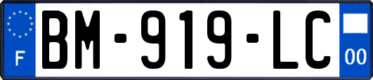BM-919-LC