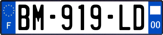 BM-919-LD