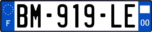 BM-919-LE