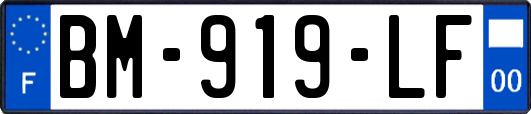 BM-919-LF