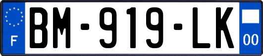 BM-919-LK
