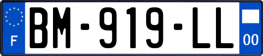 BM-919-LL