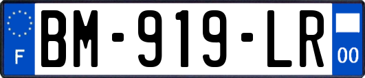 BM-919-LR