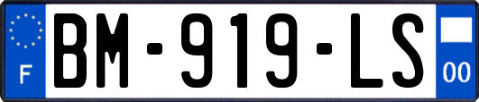 BM-919-LS