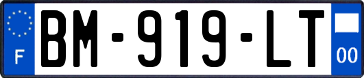 BM-919-LT