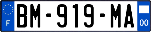 BM-919-MA