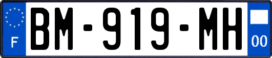 BM-919-MH