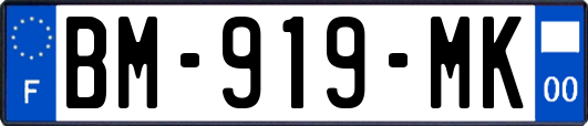 BM-919-MK