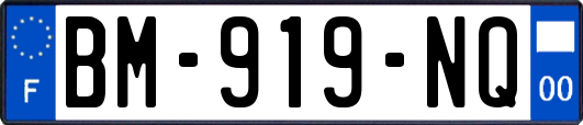 BM-919-NQ