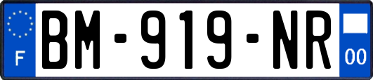 BM-919-NR