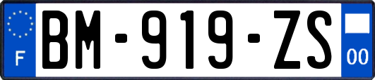 BM-919-ZS