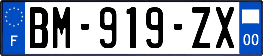 BM-919-ZX