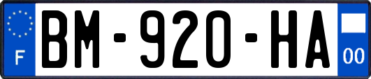 BM-920-HA