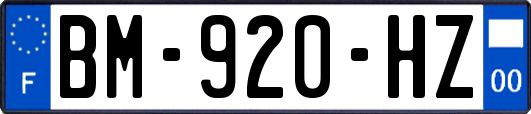 BM-920-HZ