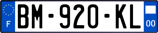 BM-920-KL