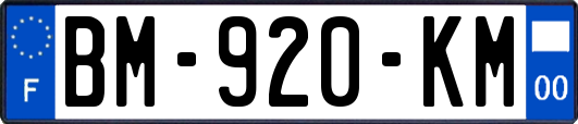 BM-920-KM