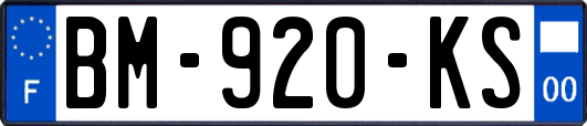 BM-920-KS