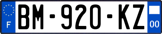 BM-920-KZ