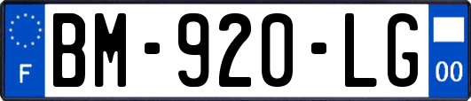 BM-920-LG