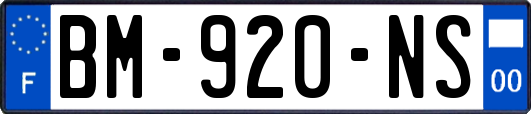 BM-920-NS