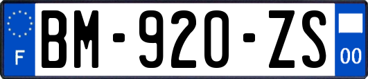 BM-920-ZS