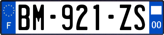 BM-921-ZS